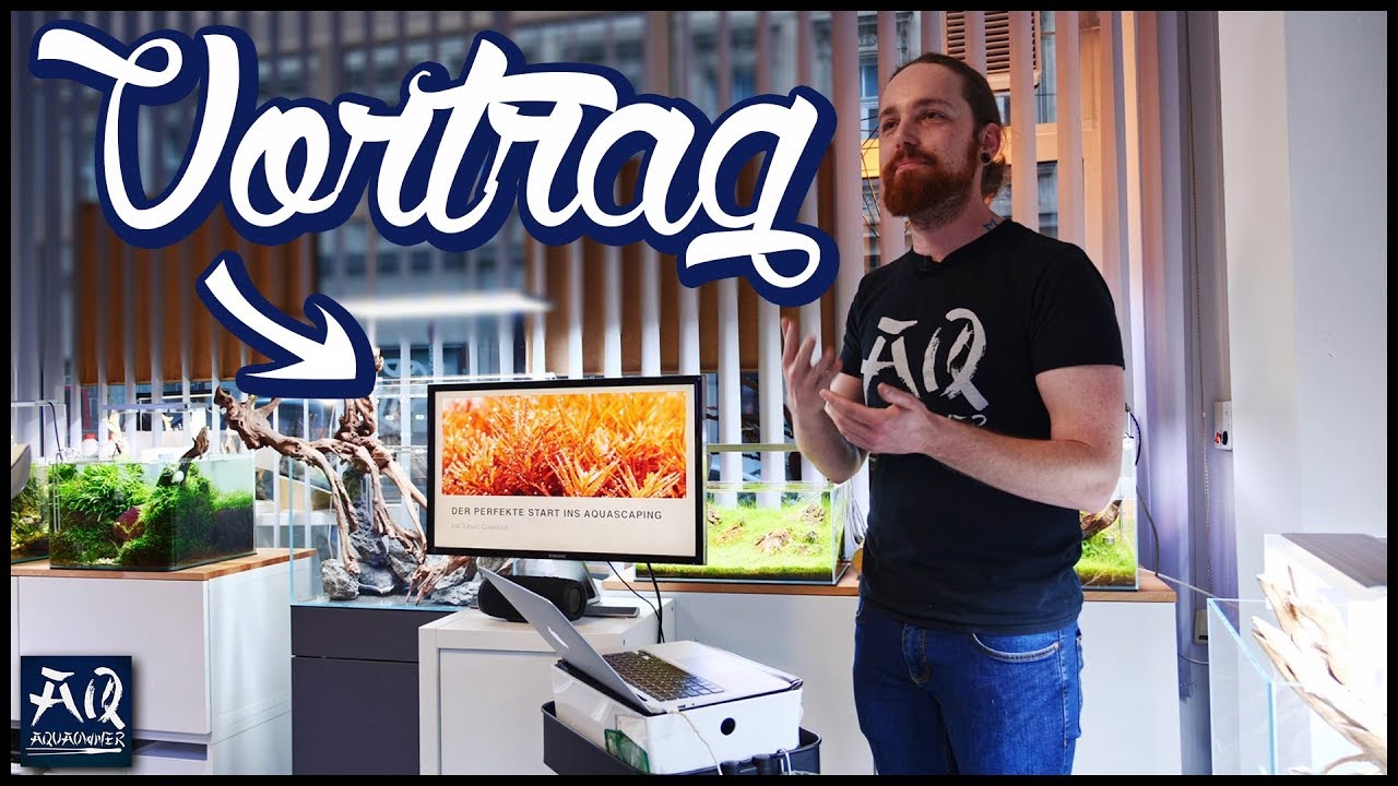 Der perfekte Einstieg ins Aquascaping | AquaOwner