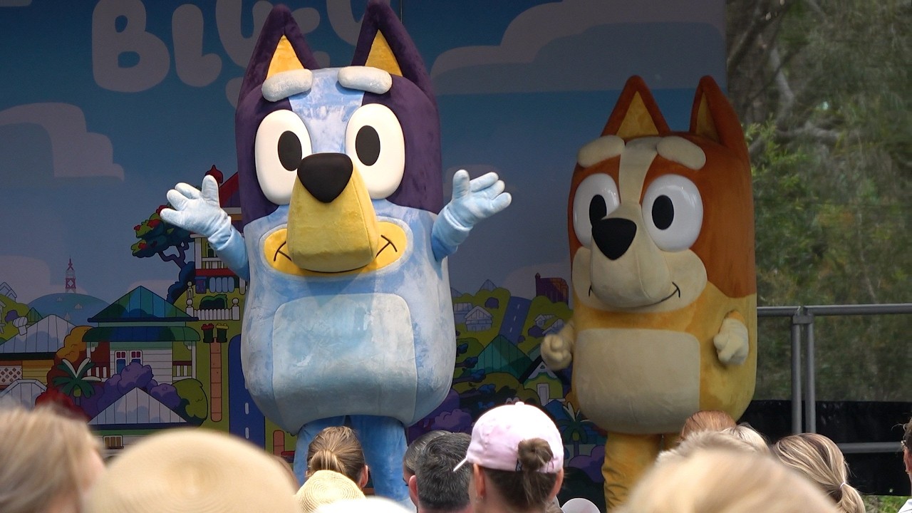 NEW Bluey Live Show at Australia Zoo! 🇦🇺 March 2025