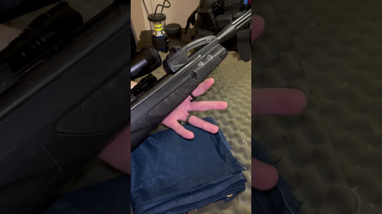 Gamo Swarm Maxxim hunting #guntok #gunculture #pelletguns #gamo #fyp #shorts #youtubeshorts #.177