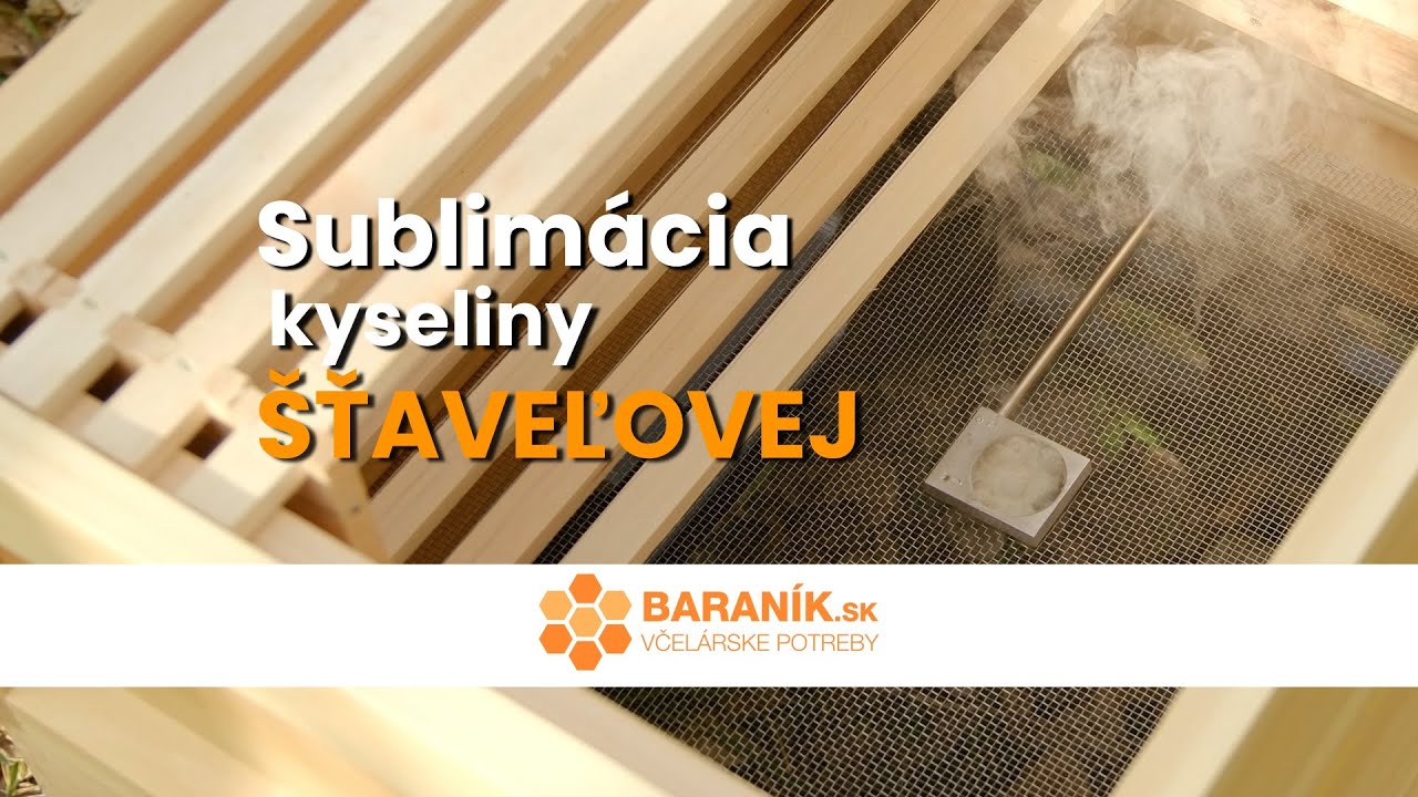 Sublim&aacute;cia kyseliny &scaron;ťaveľovej - Včelstv&aacute; bez klie&scaron;tika pred zimou | Baranik.sk #včely #med