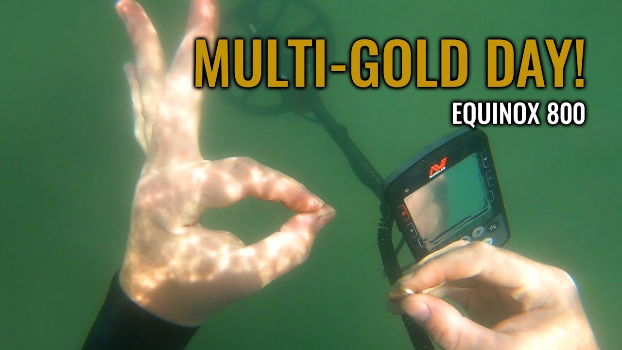 7 Rings Underwater - Minelab Equinox 800 [GOLD!]