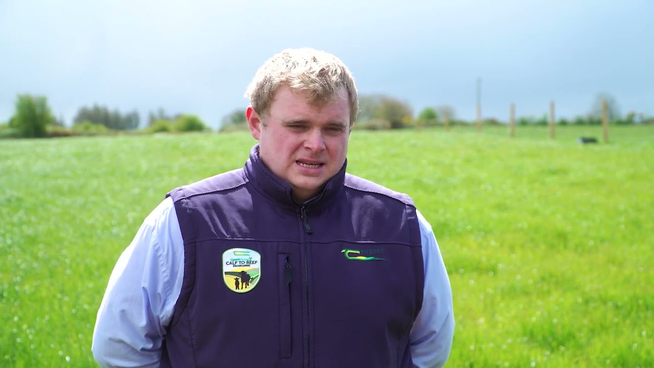Teagasc Green Acres Calf to Beef : The importance of making quality silage on calf to beef farms