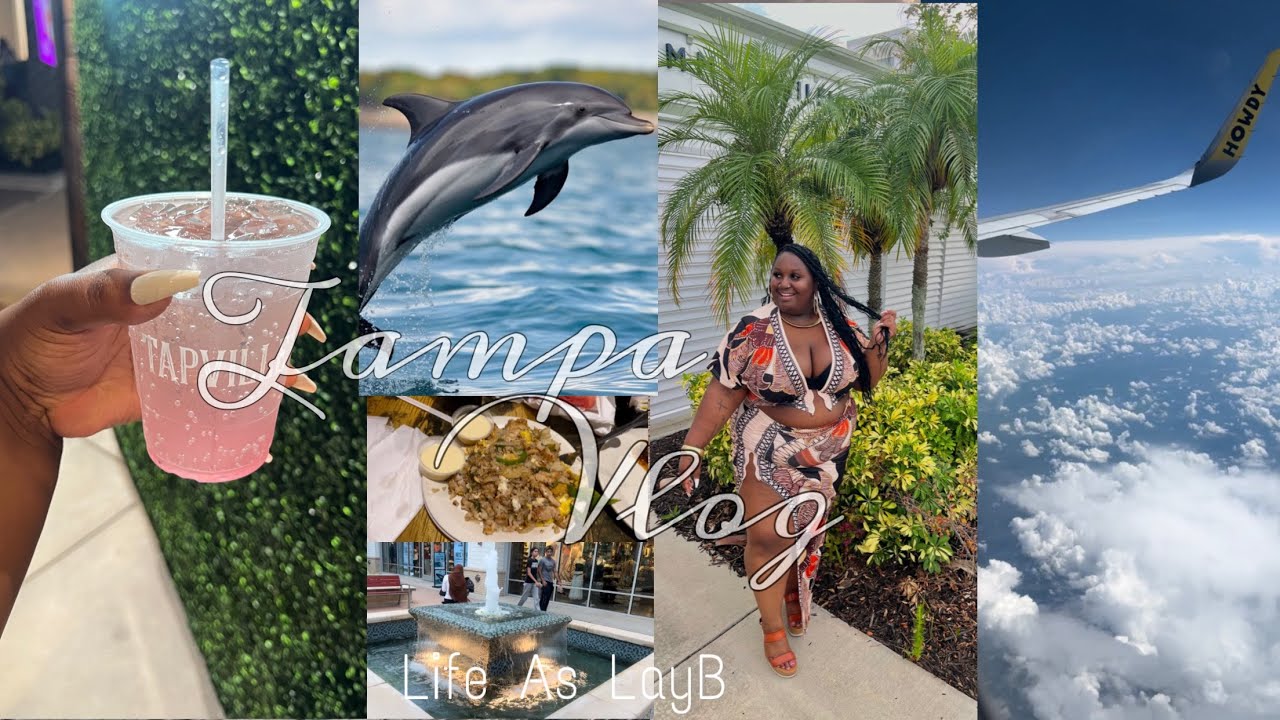 TAMPA, FL Vlog🌴💕| travel with me, dolphin tour, casino, beach life +more!