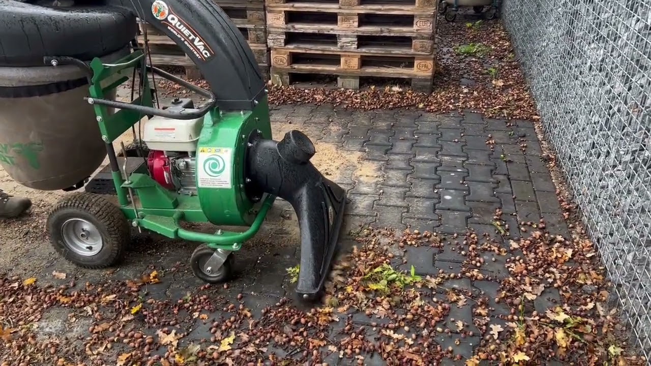 Billy Goat QV550HSP zuigt eikels op.