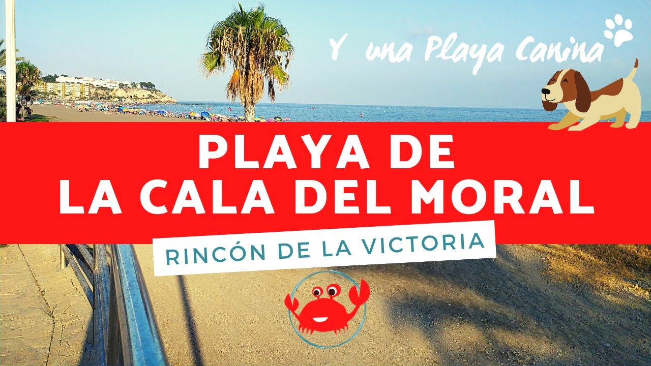 🏖️ PLAYA de La Cala del Moral ▷ Rincón de la Victoria ◁ | Málaga