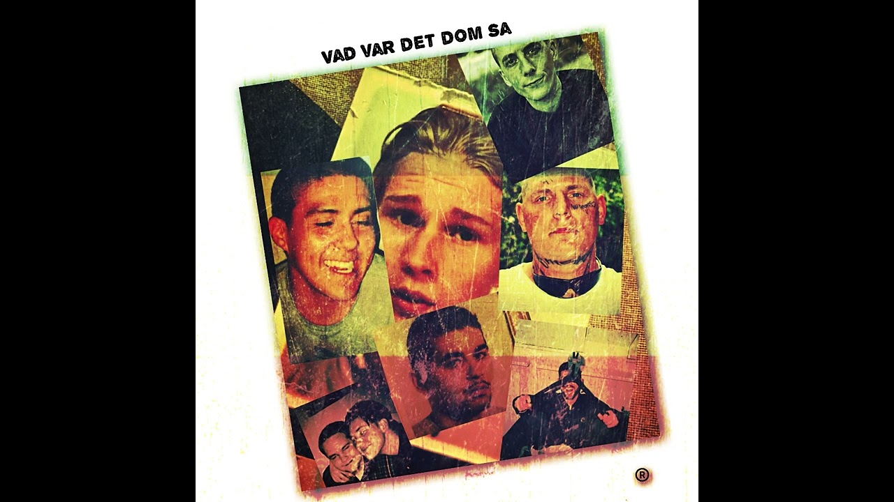 Vad var det dom sa 