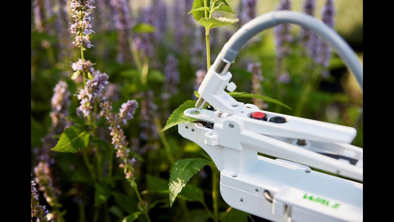 WALZ - Porometer Leaf Clip for MINI-PAM-II