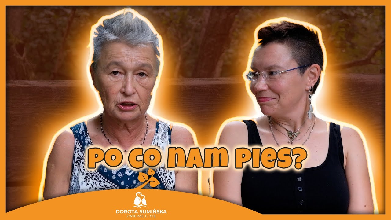 Po co nam pies?