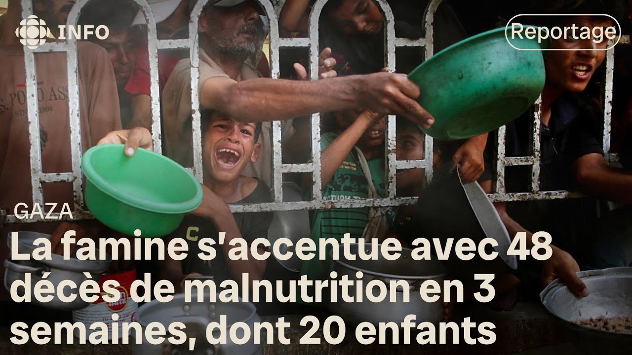 À Gaza, le quart des enfants et des femmes enceintes souffrent de malnutrition