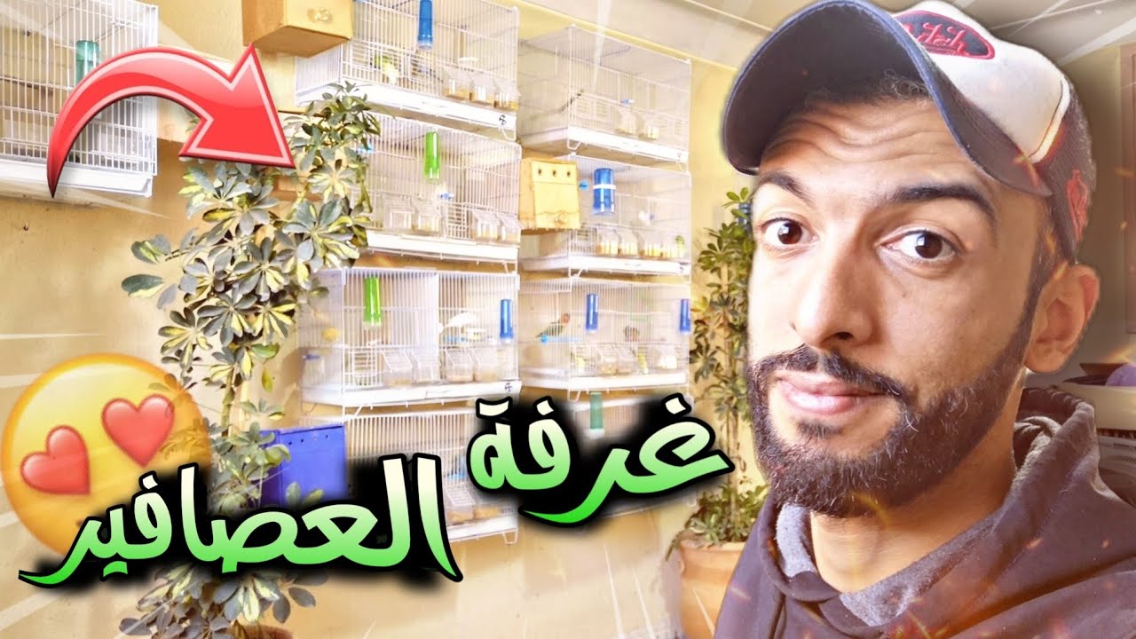 جولة في غرفة العصافير 😍 أعشاش البادجي و النظام الغذائي