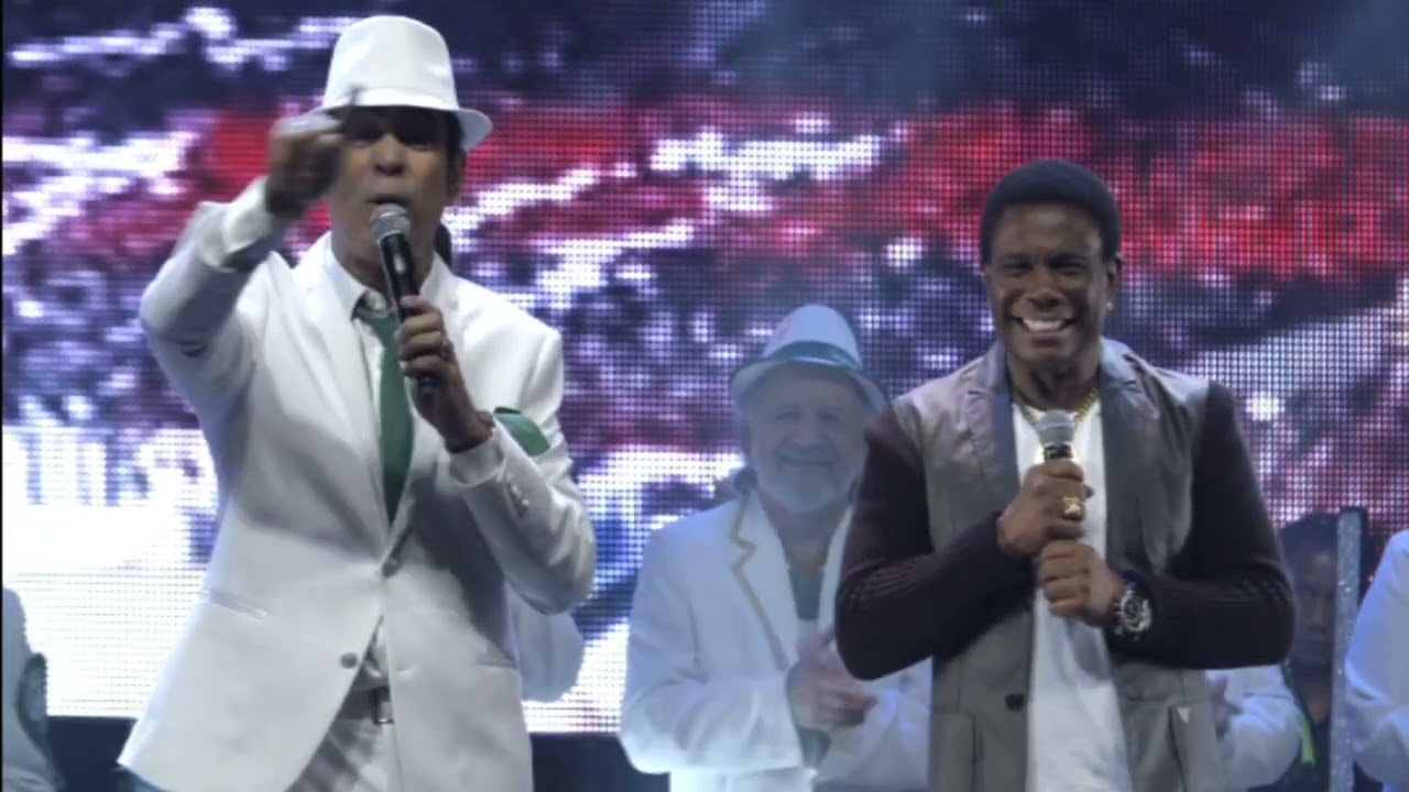 Elymar Santos e Neguinho da Beija-flor - O Campeão / O Que É, O Que É?