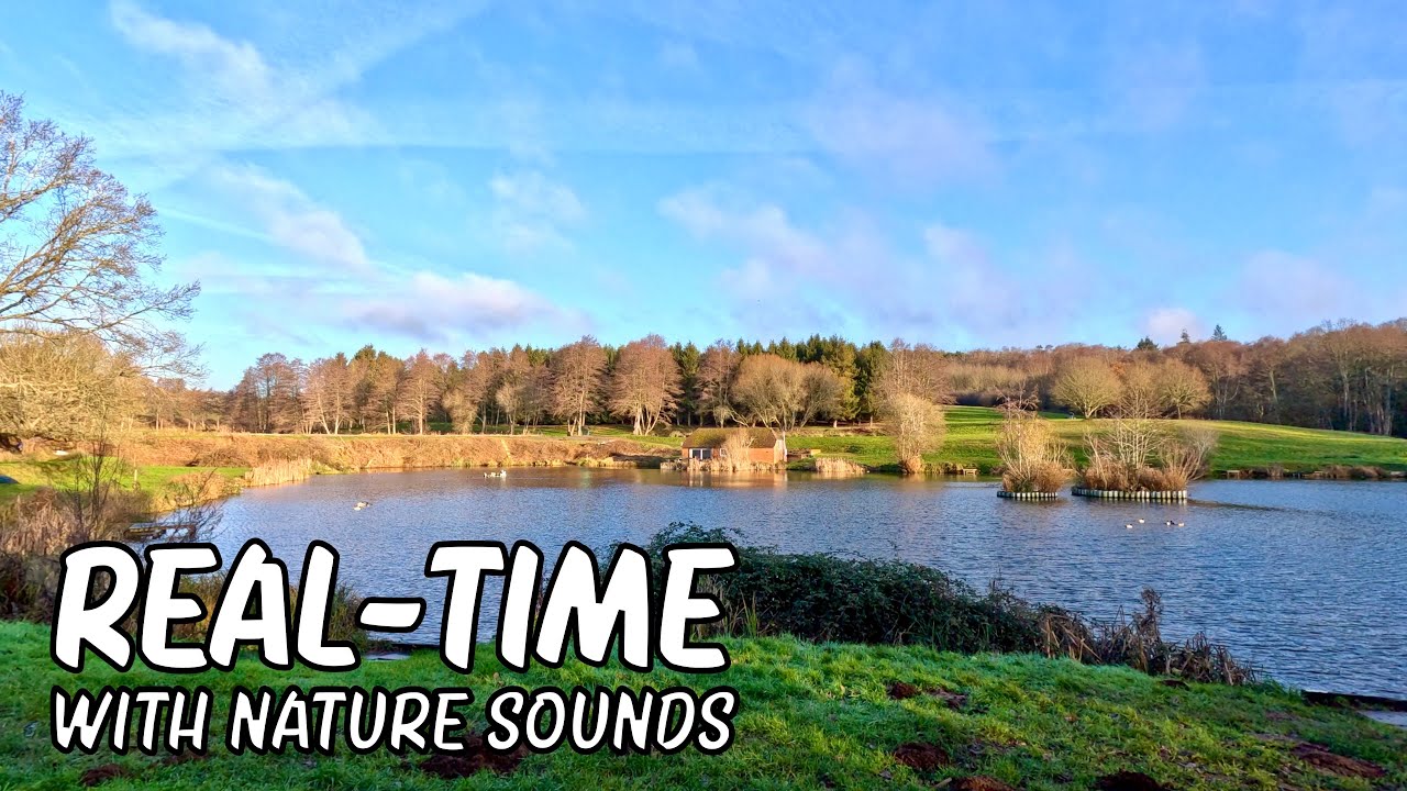 Walk 206 | Winter Walk with Canal Views & Woodland Trails | Real Time & Nature Sounds #walkingtour