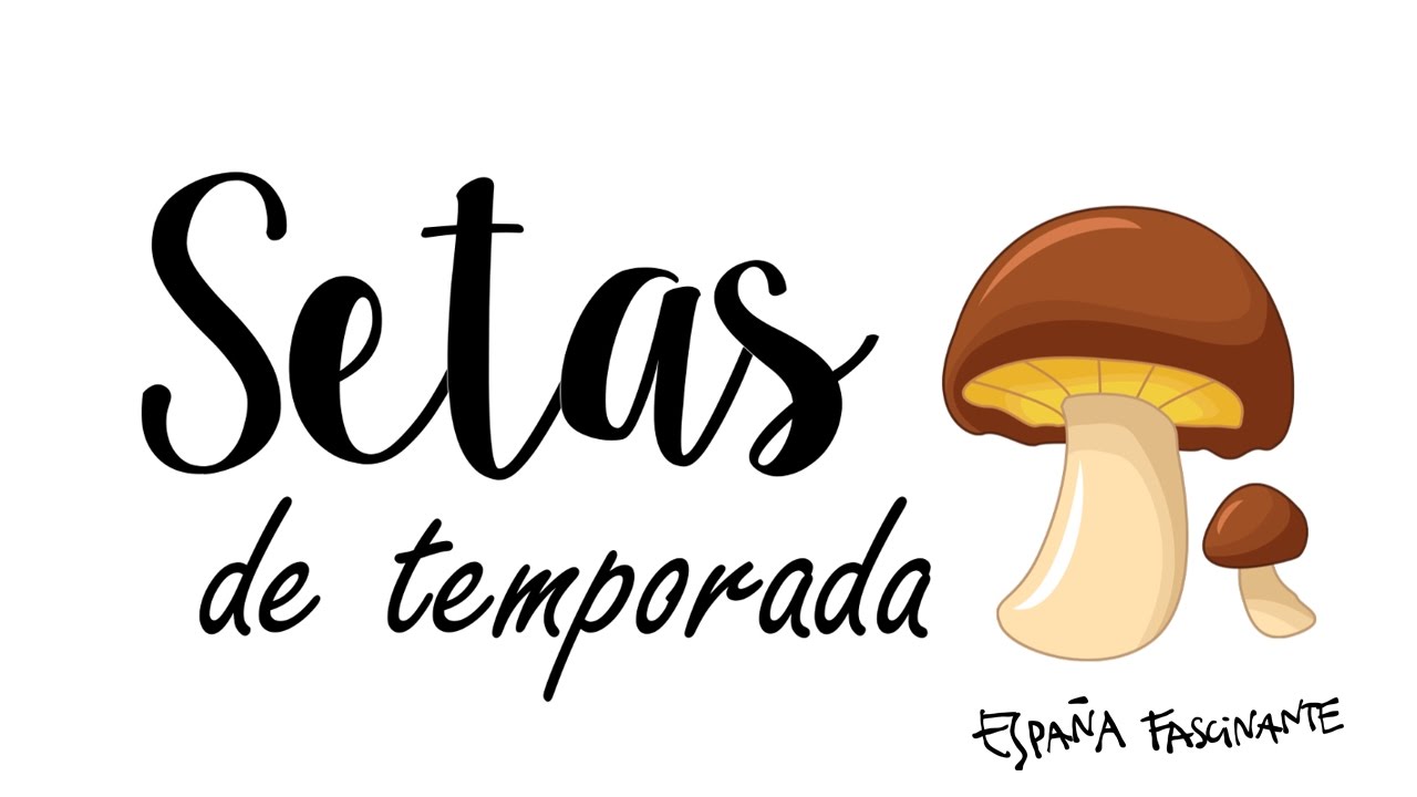 Setas de temporada - Paradis Madrid | Espa&ntilde;a Fascinante