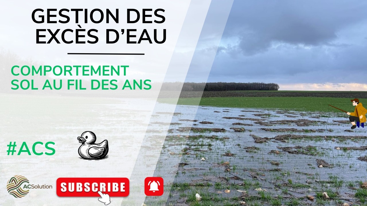 Gestion des excès d’eau par l'agronomie
