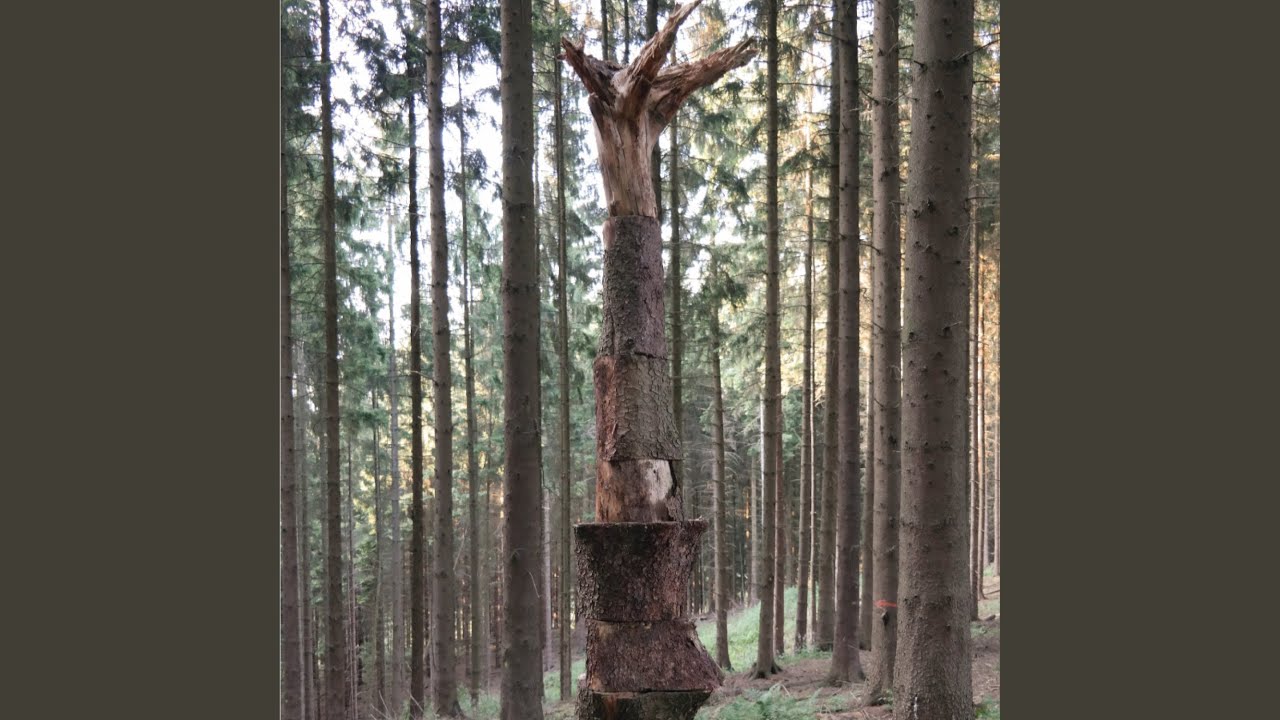 Kaum Bist Du Weg