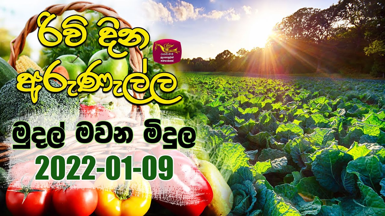 Rividina Arunella - මුදල් මවන මිදුල | 2022-01-09 | Rupavahini