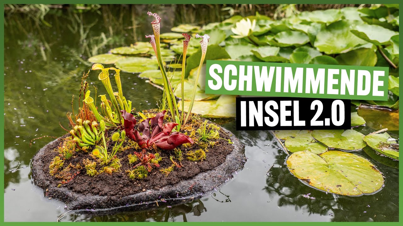 #234 Fleischfressende Pflanzen für den Teich