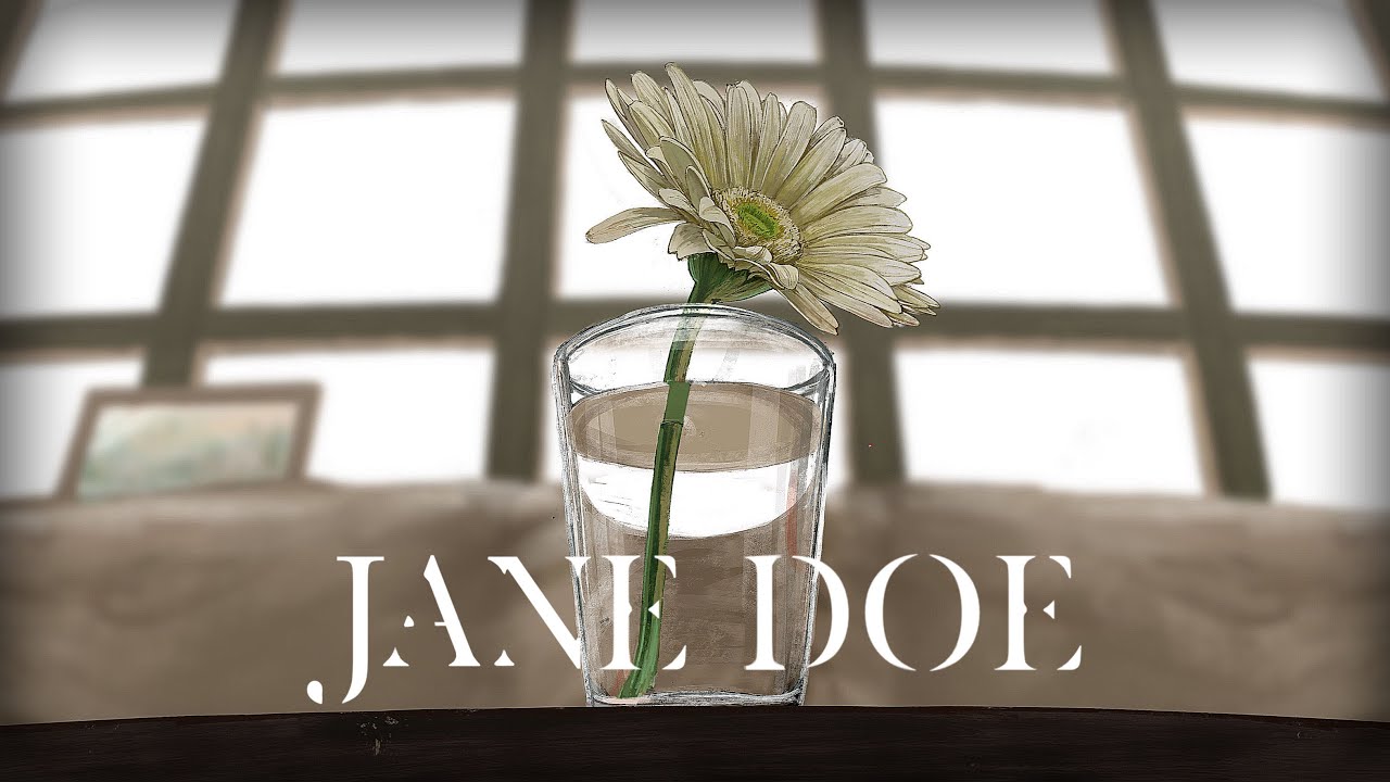 JANE DOE - 流水 × ギブ (cover)