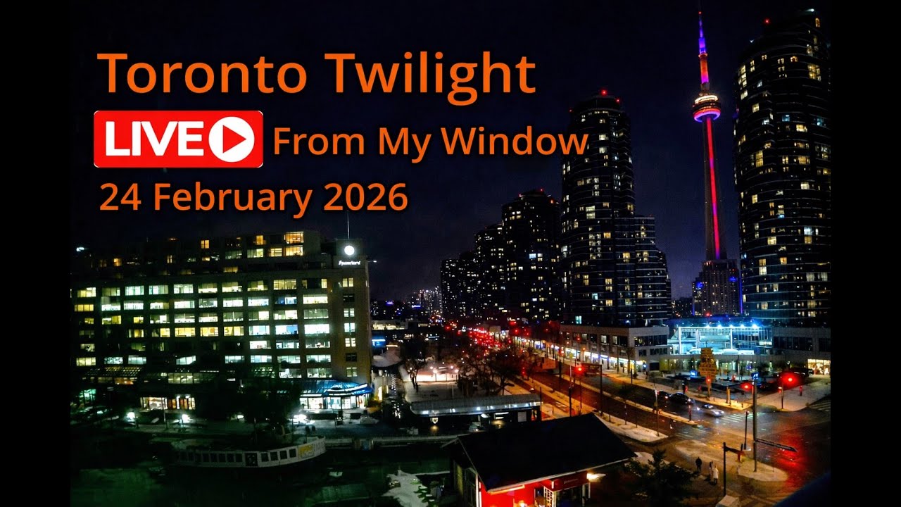 🔴Toronto Window Cam LIVE HD | MaoChow Adventure 24th Feb 2026 Twlight to sunrise