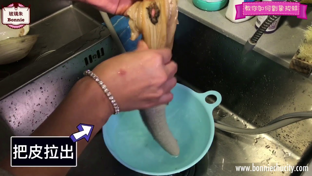 玻璃朱教你如何劏象拔蚌