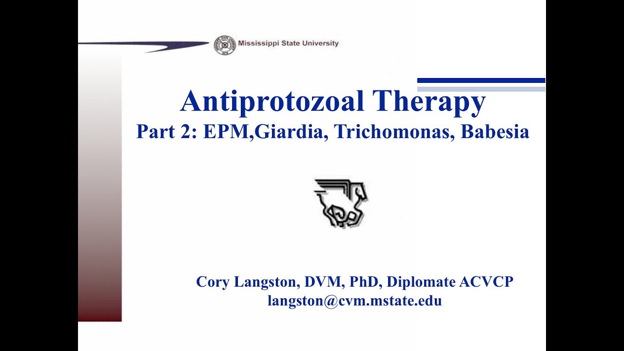 Antiprotozoals Part 2: EPM, Giardia, Trichomonas, Babesia