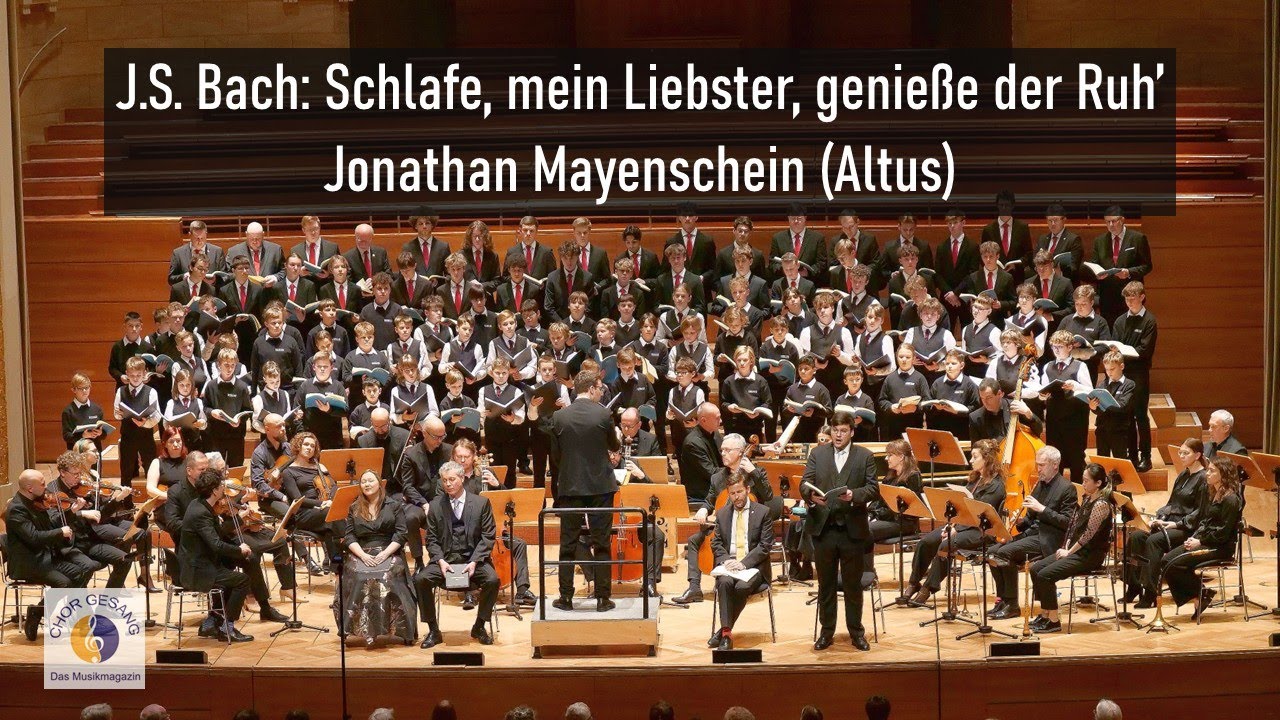 J.S. Bach: Schlafe, mein Liebster, genieße der Ruh’ BWV 248 (19) | Jonathan Mayenschein (Altus)