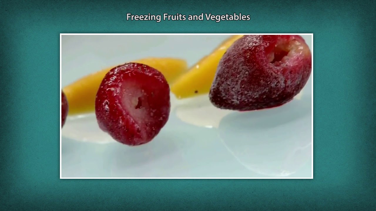 Fruits and Vegetables Drying Dehydration Technician