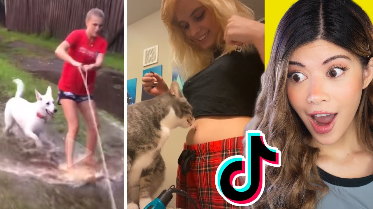 Funny NEW Animal Tik Toks that Cheer Me Up