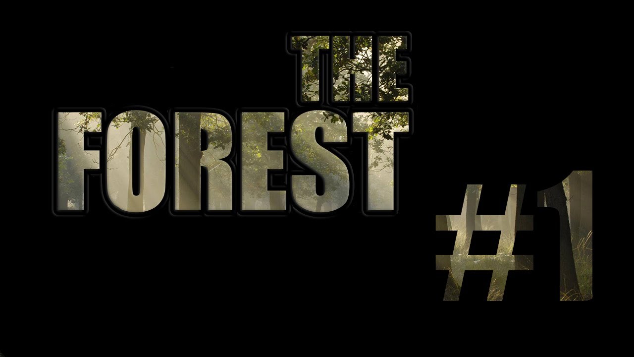 The Forest - Gameplay Walkthrough Part 1