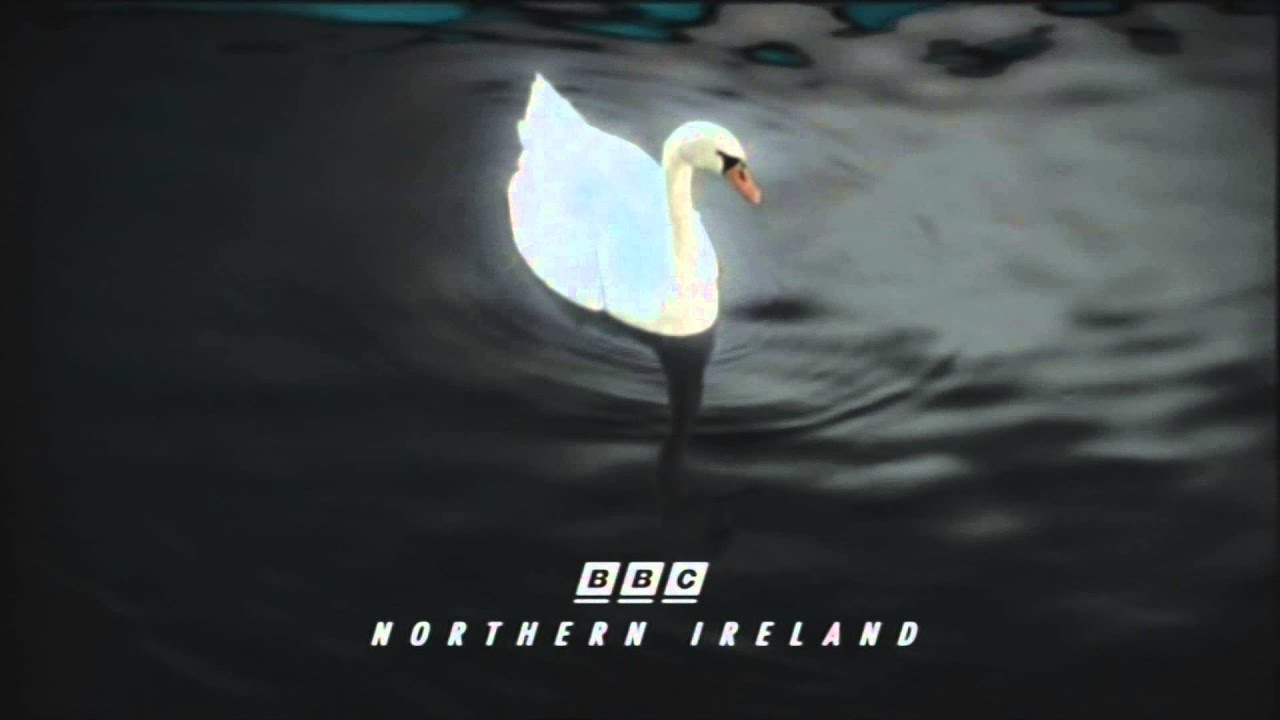 BBC Two Northern Ireland - Swan Ident - 2014