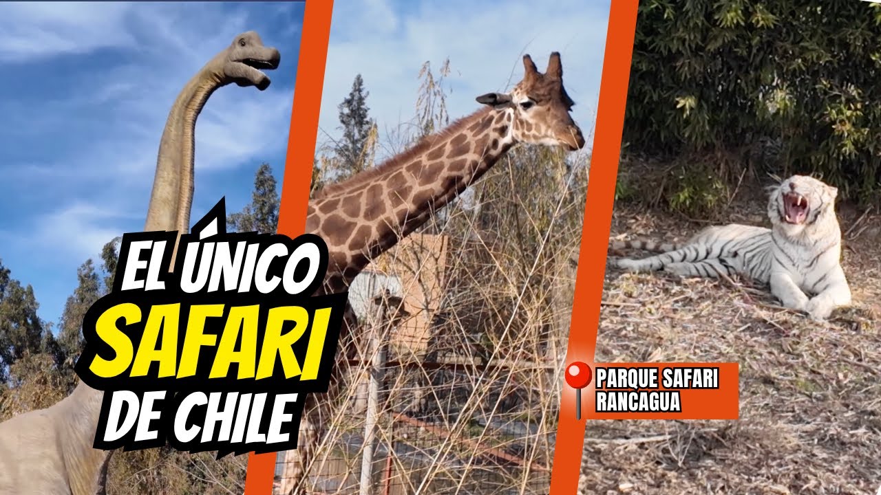 Parque SAFARI EN RANCAGUA 🦁 | 7 COSAS que debes SABER ANTES de tu VISITA
