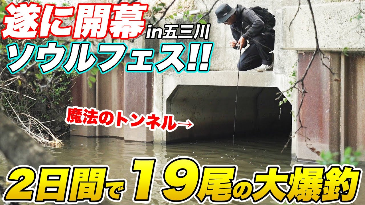 魔法のトンネル発見！大爆釣の五三川ソウルフェス。