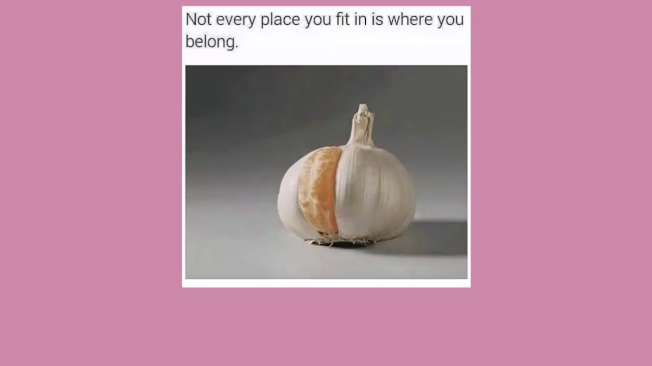 It Came From Tumblr #21 [Binge Compilation]