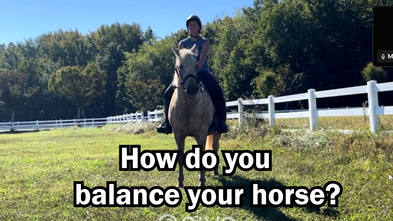 How to BALANCE your horse (ALL disciplines)