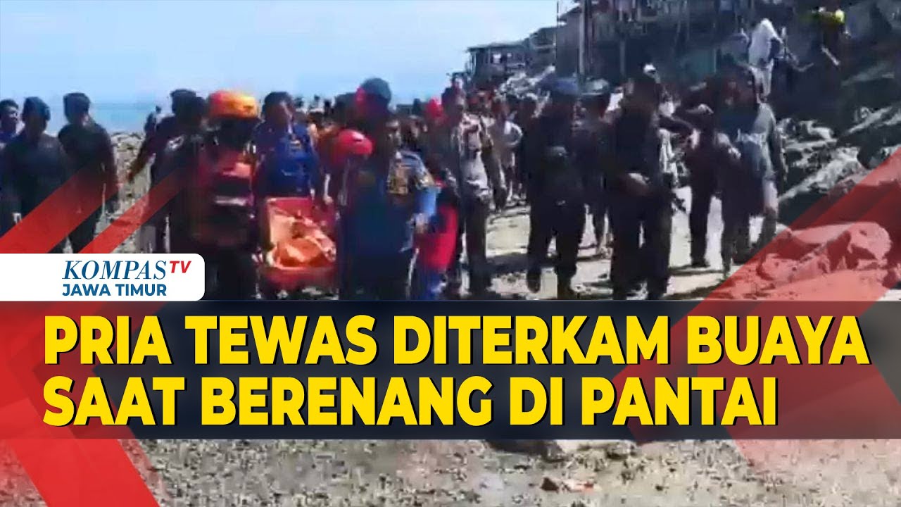 Pria di Palu Tewas Diterkam Buaya saat Berenang di Pantai
