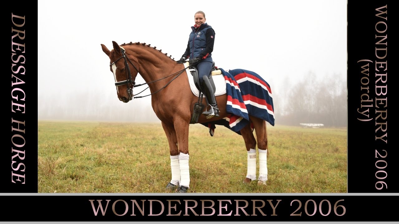 Презентация лошади Wonderberry 2006 (папа Worldly) v2