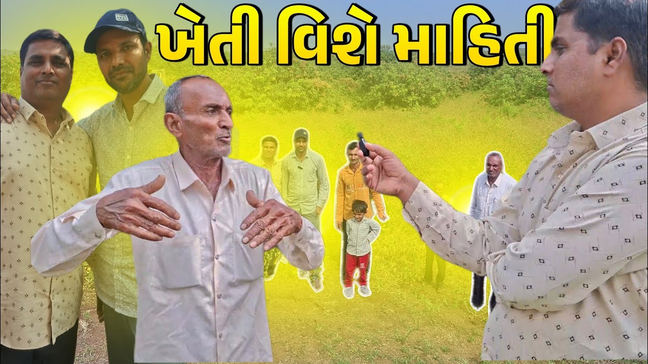 આજે મારા સસરા ની🤩🤩 વાડીએ ગયા ખેતી વિશે માહિતી મળી ..🫒🫒😍😍