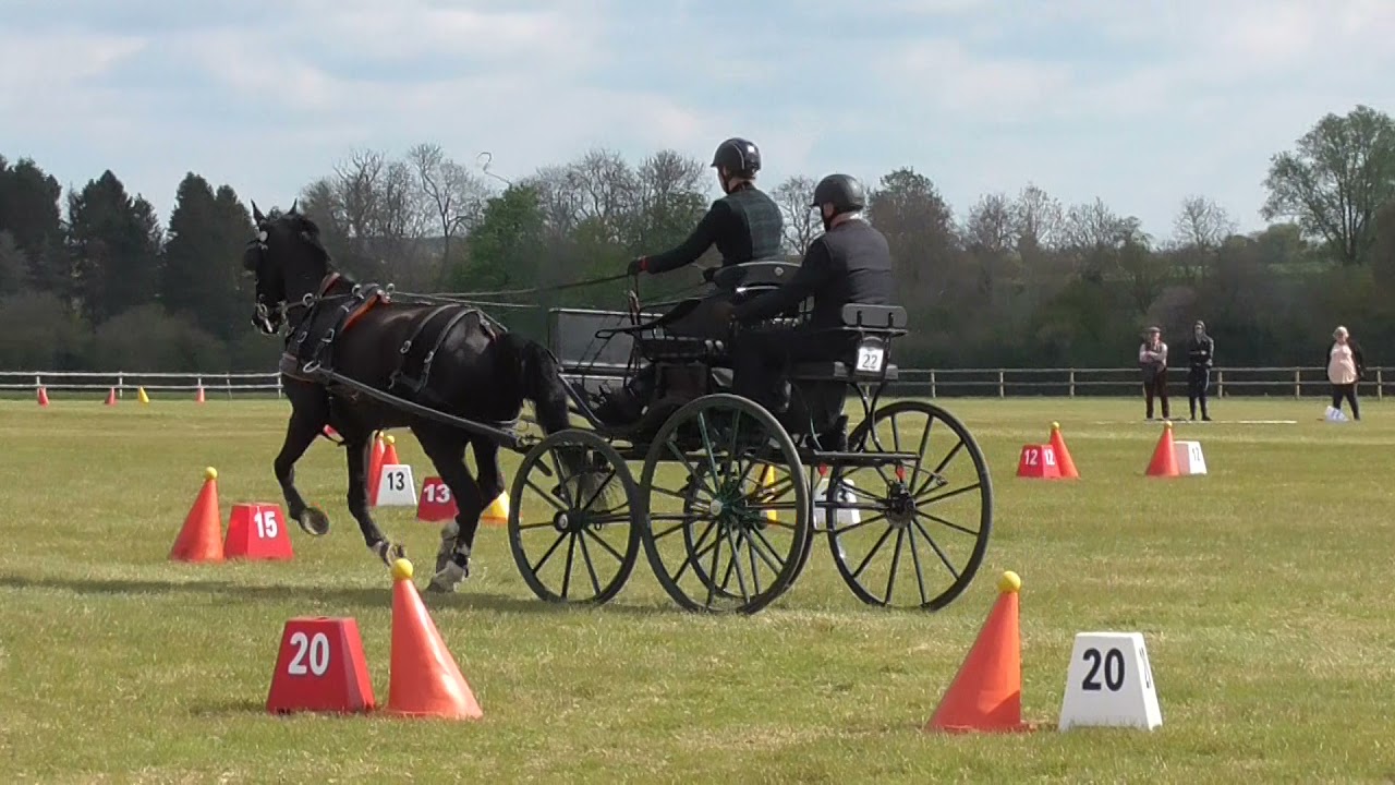 Advanced single horse, carriage driving, cones