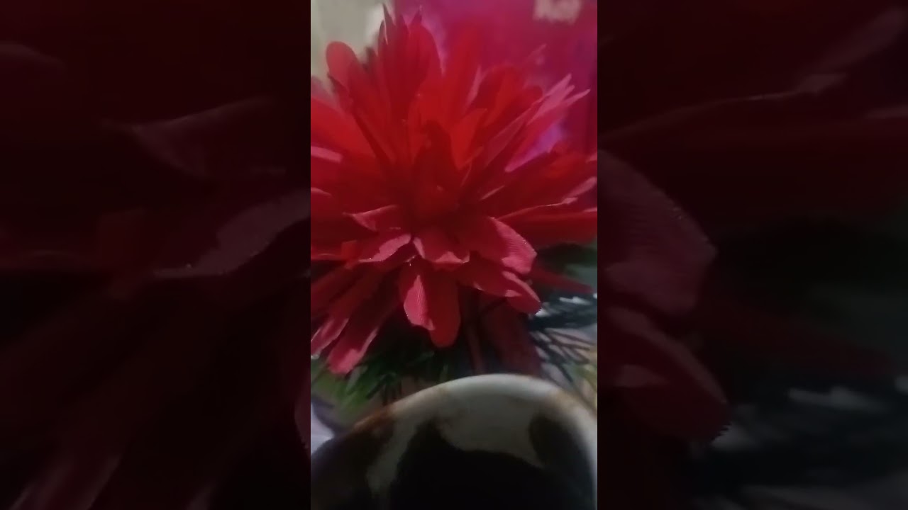 برج الدلو🪷🪷 عندك نجاه من امرأه شيطانه يا دلو وابشر ب ثراء مادي وسداد ديون ورجوع حبيب🪷🪷 يعشقك