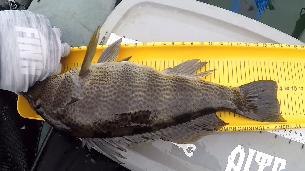 FLOAT TUBING FOR SPOTTED BAY BASS - 