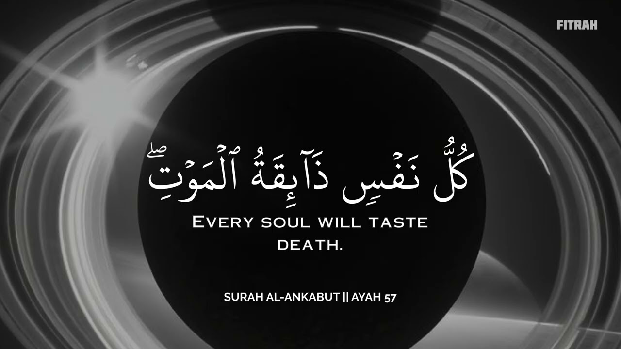 ساعة كاملة🕛🎧 | تلاوة تقشعر لها الأبدان بصوت محمد هشام | Reciter Mohamed Hesham | 🖤🎧