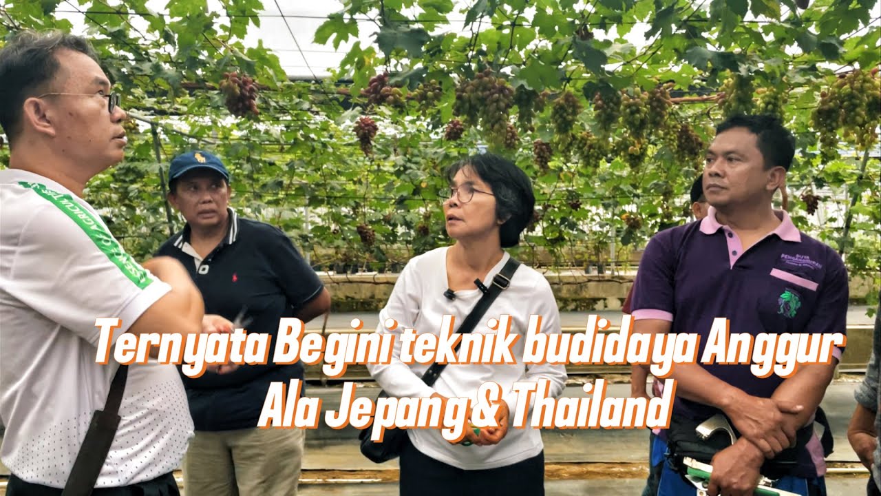 FULL EDUKASI ANGGUR BERSAMA IBU BADARIAH & MR. WORACHEST (Indothai Vineyard – Thailand)