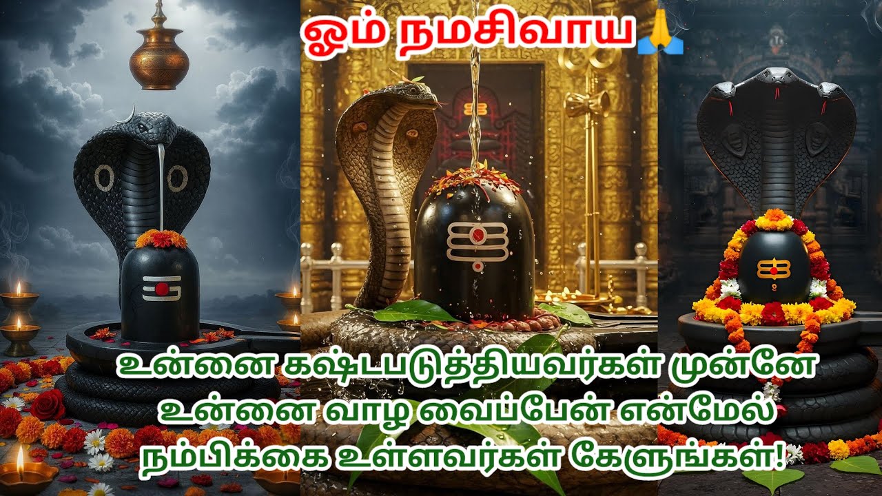 🔱உன்னை கஷ்டபடுத்தியவர்கள் முன்னே உன்னை வாழ வைப்பேன் 🔱#mahadev #haraharamahadev #lordshiva #சிவன் 