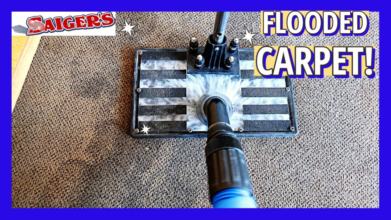 How Can You Remove this Water from this Clean Carpet and Pad
