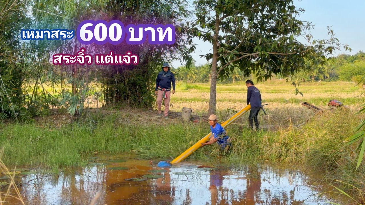 เหมาสระ 600 บาท สระเเรกของปี สระเล็กๆ เเต่สิ่งที่อยู่ในนั้นมันไม่ธรรมดา / บ้านนอก EP.969