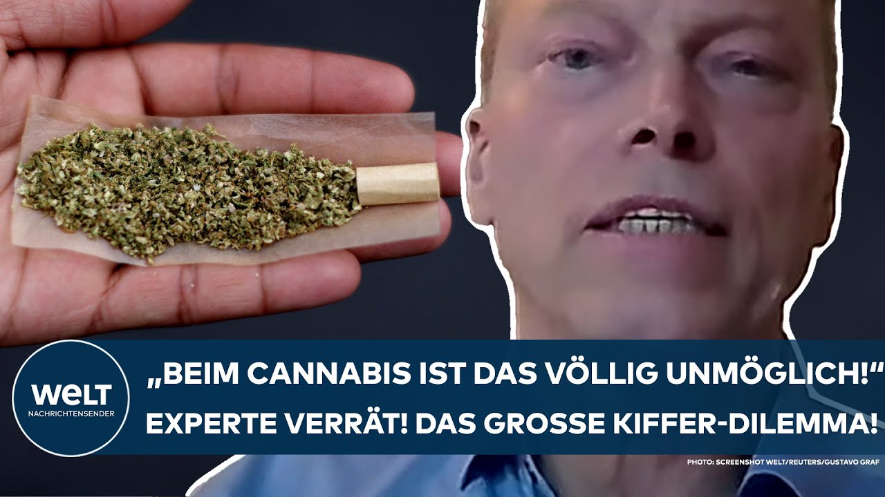 DEUTSCHLAND: "Beim Cannabis ist das völlig unmöglich!" Klartext vom Experten! Das Dilemma der Kiffer