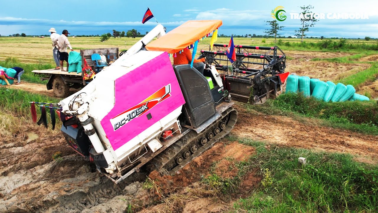 Power Combine Harvester Kubota Cutting Machines | Rice Harvesting Machine Skills Work In Agriculture