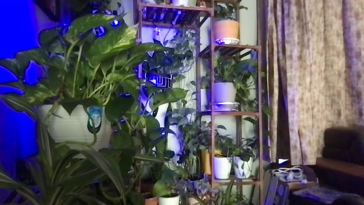 Night Time Fun