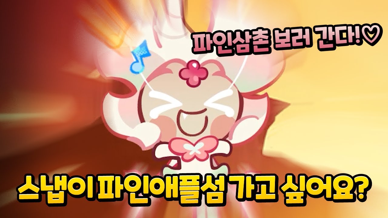 스냅이 심심해 하길래 파인애플 섬 다녀왔습니다ㅎ🍍