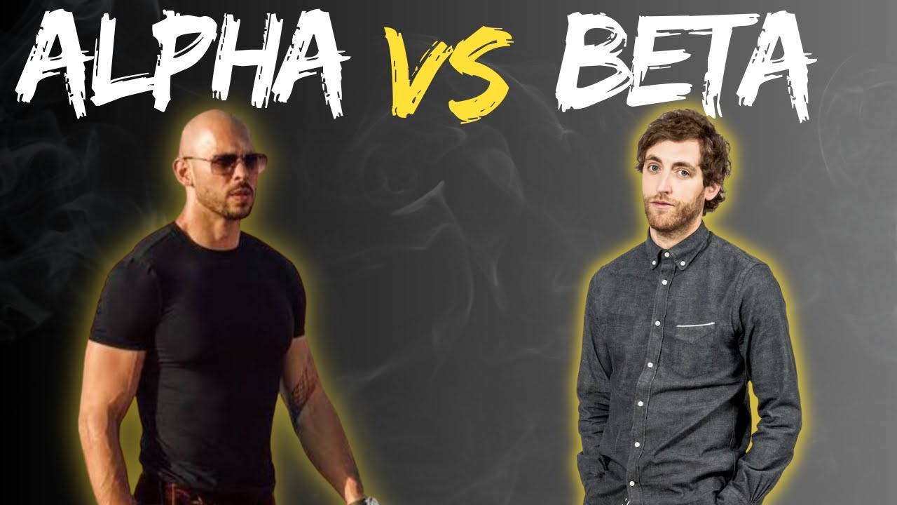 Are You an ALPHA MALE or BETA Male? 11 Key Differences